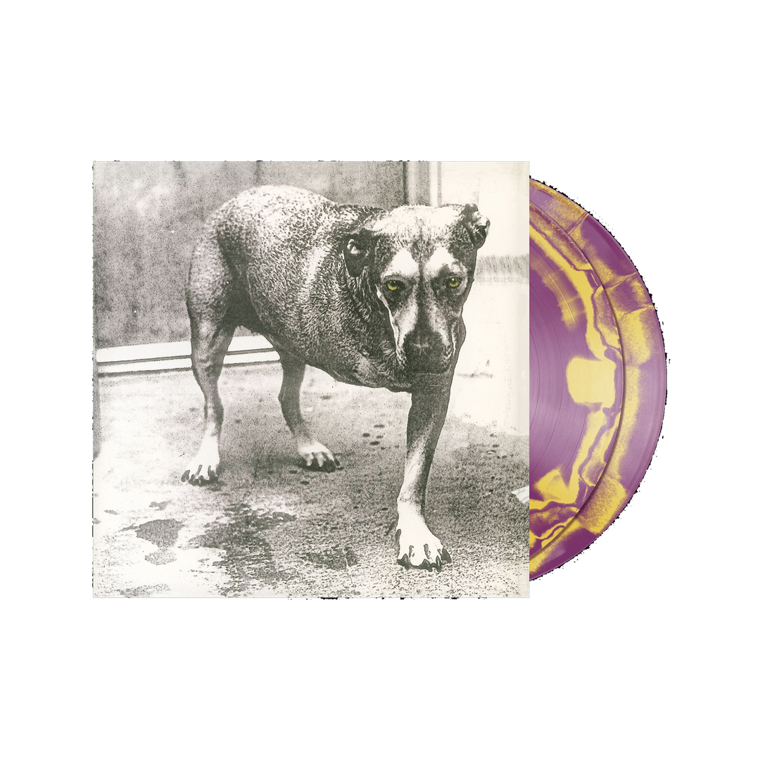 Alice in Chains Purple & Yellow Swirl Self-Titled D2C 30th Anniversary Vinyl LP use code (FREESHIPPING at Checkout Two Orders or More UK Only) Pre-Order