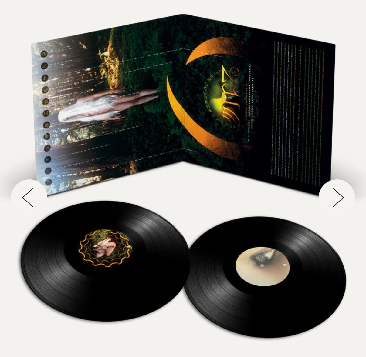 A PERFECT CIRCLE THIRTEENTH STEP (DEFINITIVE SOUND SERIES VINYL (Use code: FREESHIPPING at Checkout Two Orders or More UK Only) Pre-order