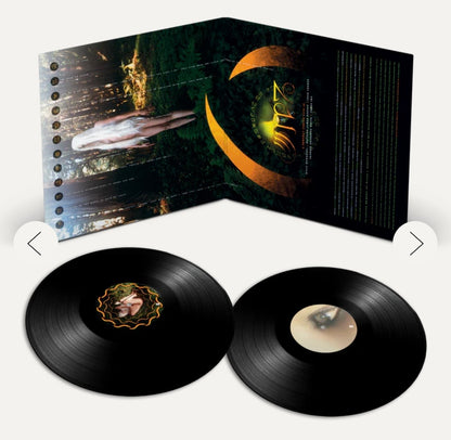 A PERFECT CIRCLE THIRTEENTH STEP (DEFINITIVE SOUND SERIES VINYL (Use code: FREESHIPPING at Checkout Two Orders or More UK Only) Pre-order