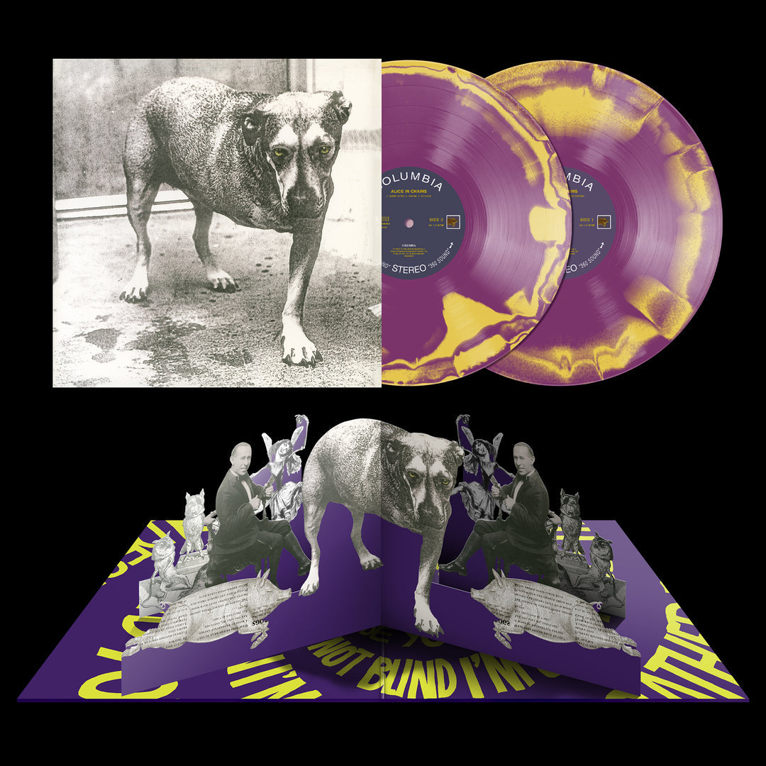 Alice In Chains 30th anniversary deluxe box set limited to 350 use