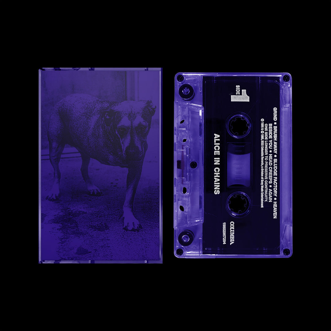 Alice In Chains 30th anniversary deluxe box set limited to 350 use