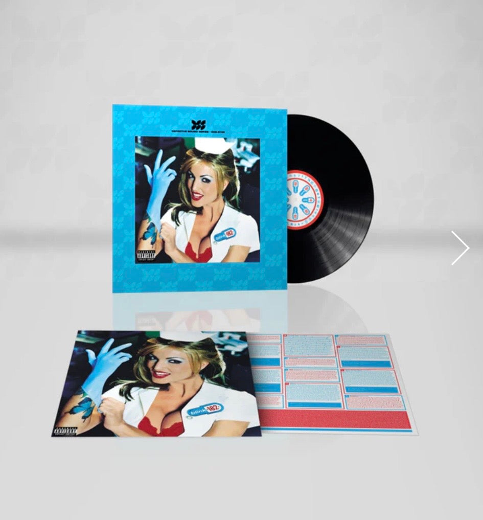 BLINK-182 ENEMA OF THE STATE DSS ONE-STEP [AAA - ALL ANALOG] (Use code: FREESHIPPING at Checkout Two Orders or More UK Only) Pre-Order